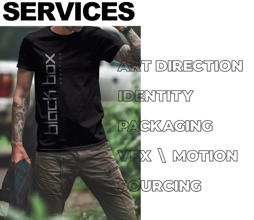 Art Direction & Identity