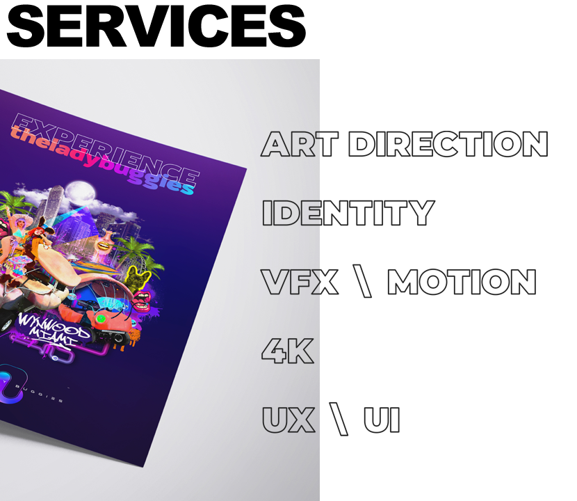 The Lady Buggies Magazine Design